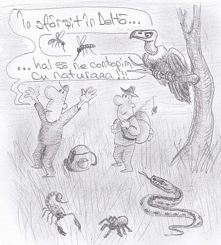 contopirea_cu_natura